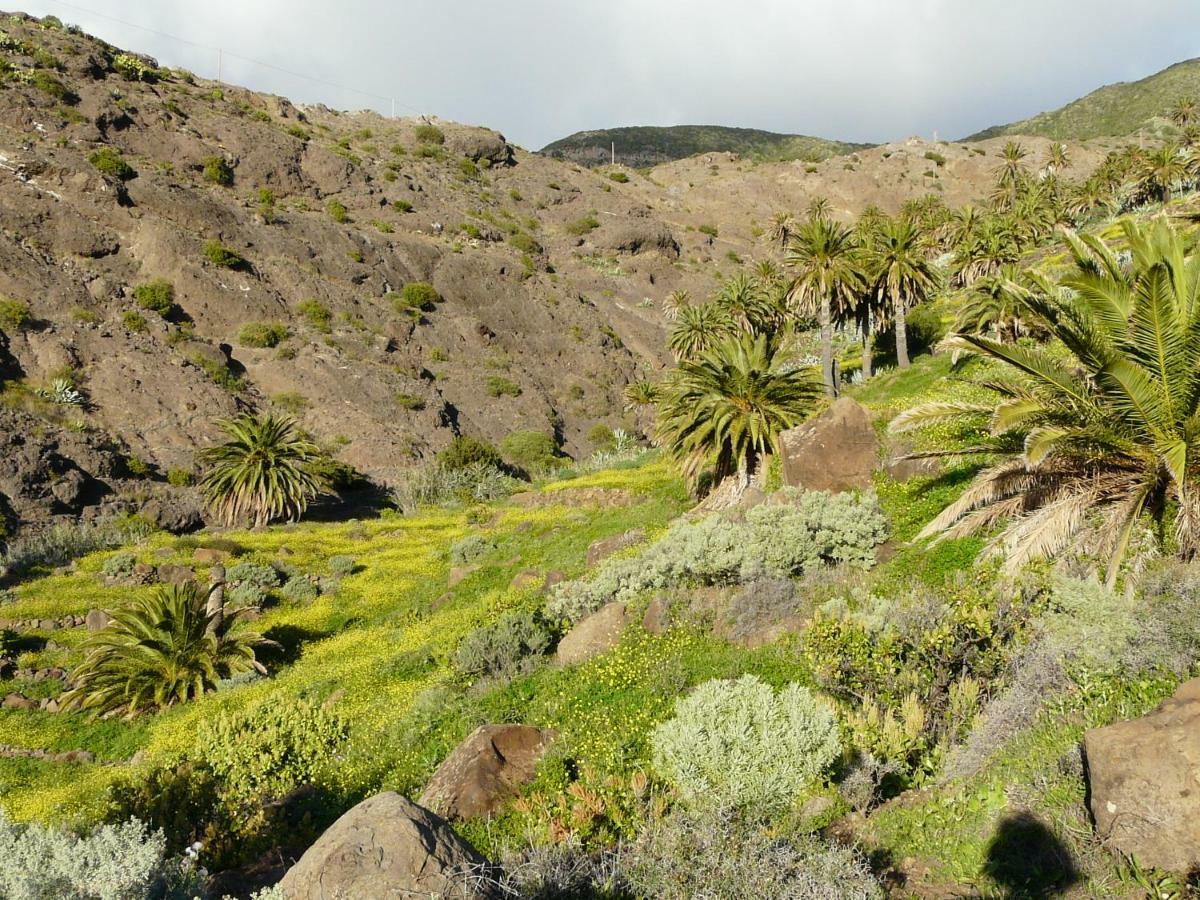 El Pirguan Holiday House, Your Oasis In La Gomera บาแญร์โมโซ ภายนอก รูปภาพ