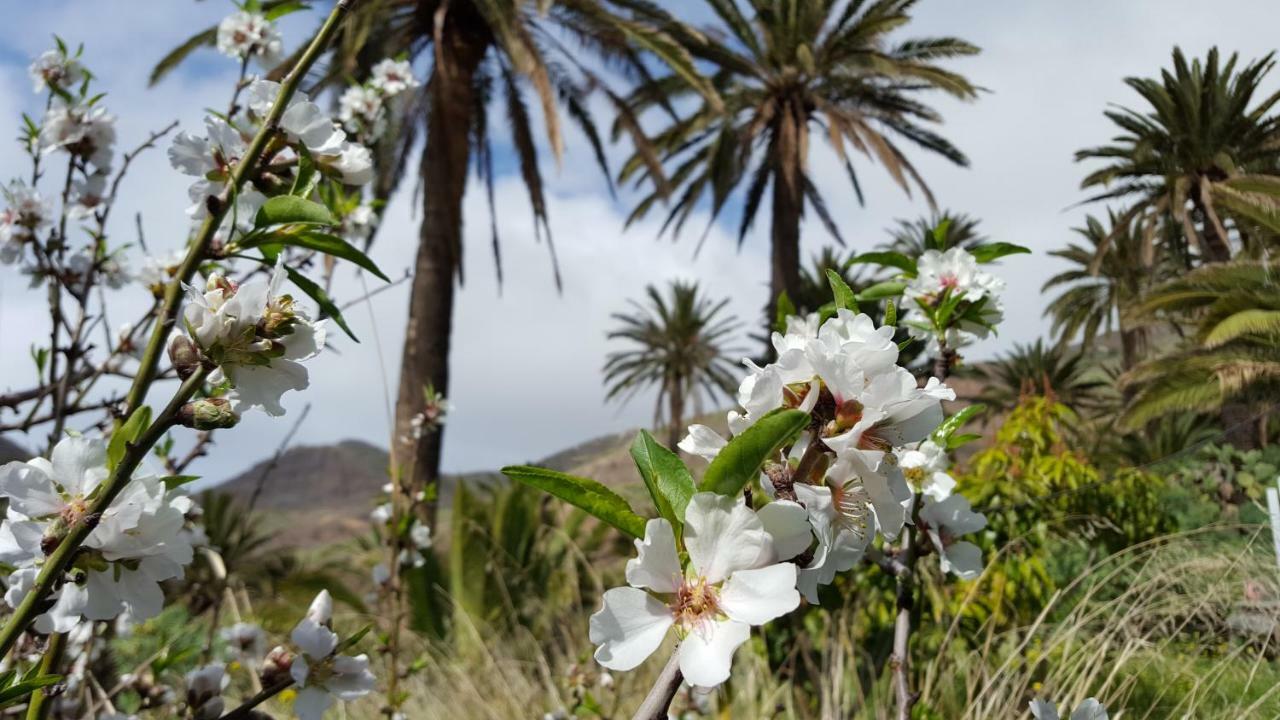 El Pirguan Holiday House, Your Oasis In La Gomera บาแญร์โมโซ ภายนอก รูปภาพ