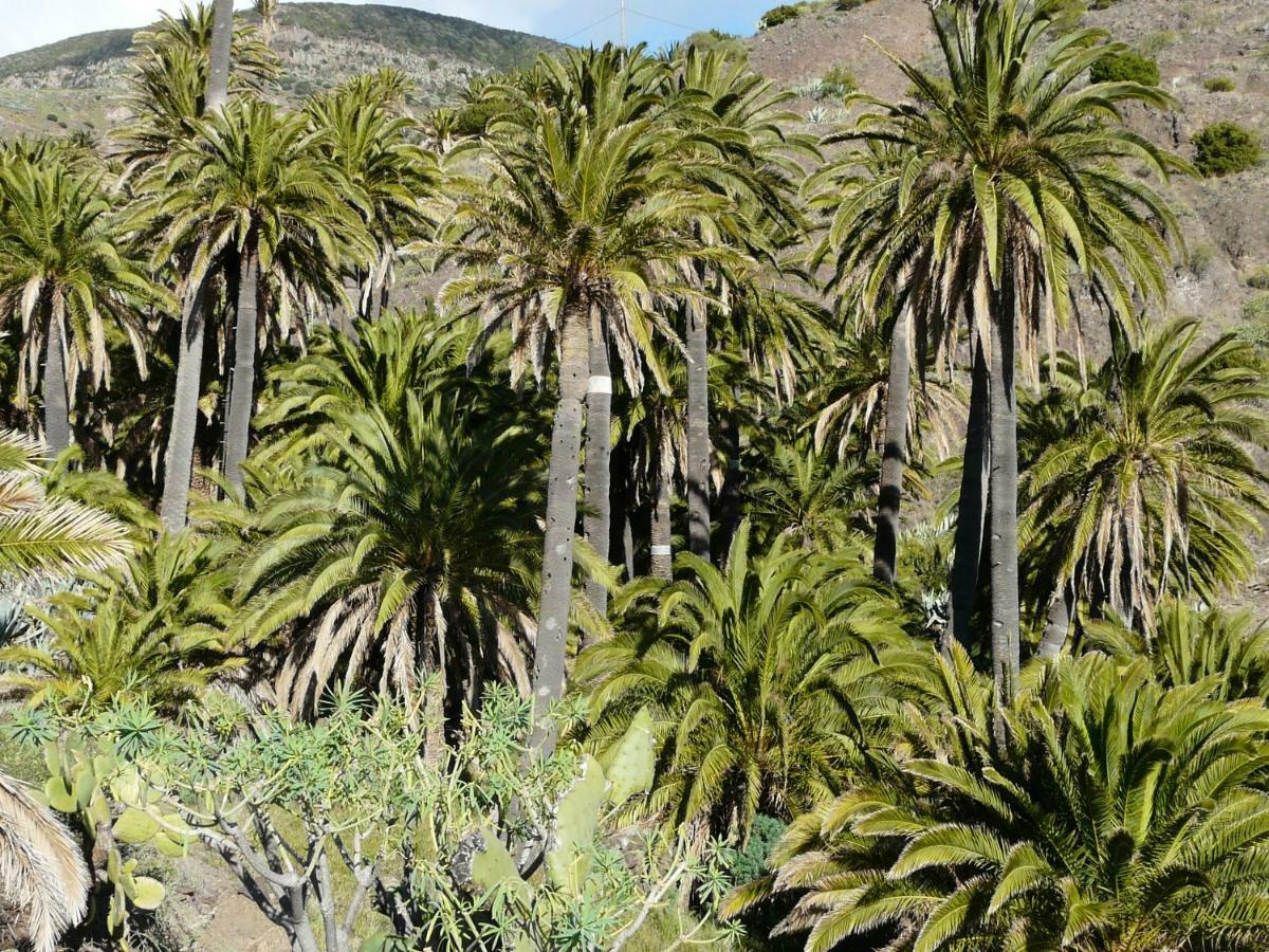 El Pirguan Holiday House, Your Oasis In La Gomera บาแญร์โมโซ ภายนอก รูปภาพ