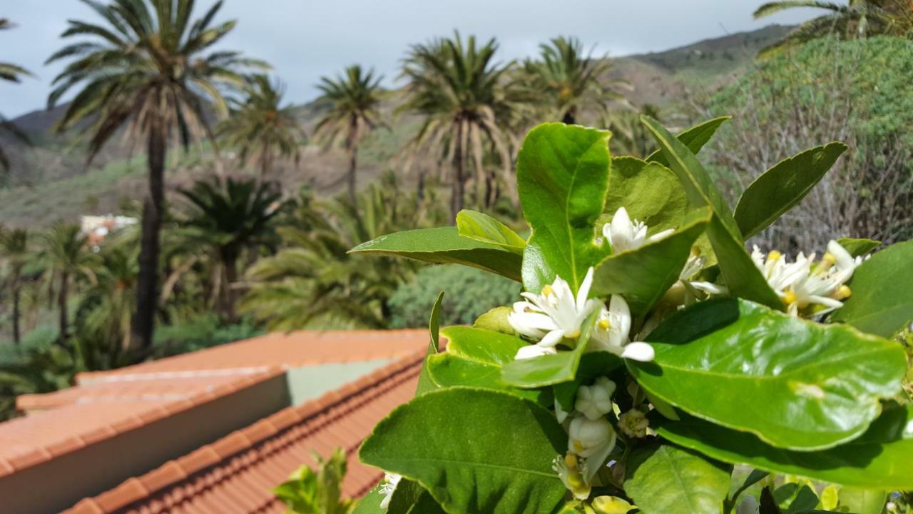 El Pirguan Holiday House, Your Oasis In La Gomera บาแญร์โมโซ ภายนอก รูปภาพ
