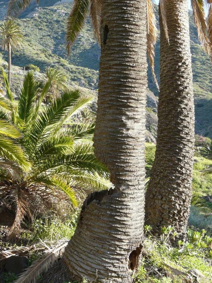 El Pirguan Holiday House, Your Oasis In La Gomera บาแญร์โมโซ ภายนอก รูปภาพ
