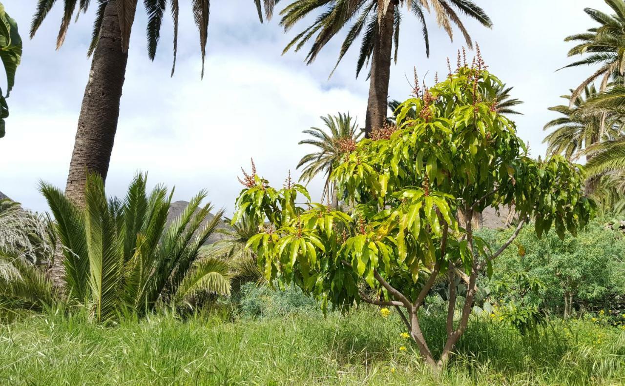El Pirguan Holiday House, Your Oasis In La Gomera บาแญร์โมโซ ภายนอก รูปภาพ